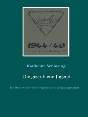 cover image of Die gestohlene Jugend